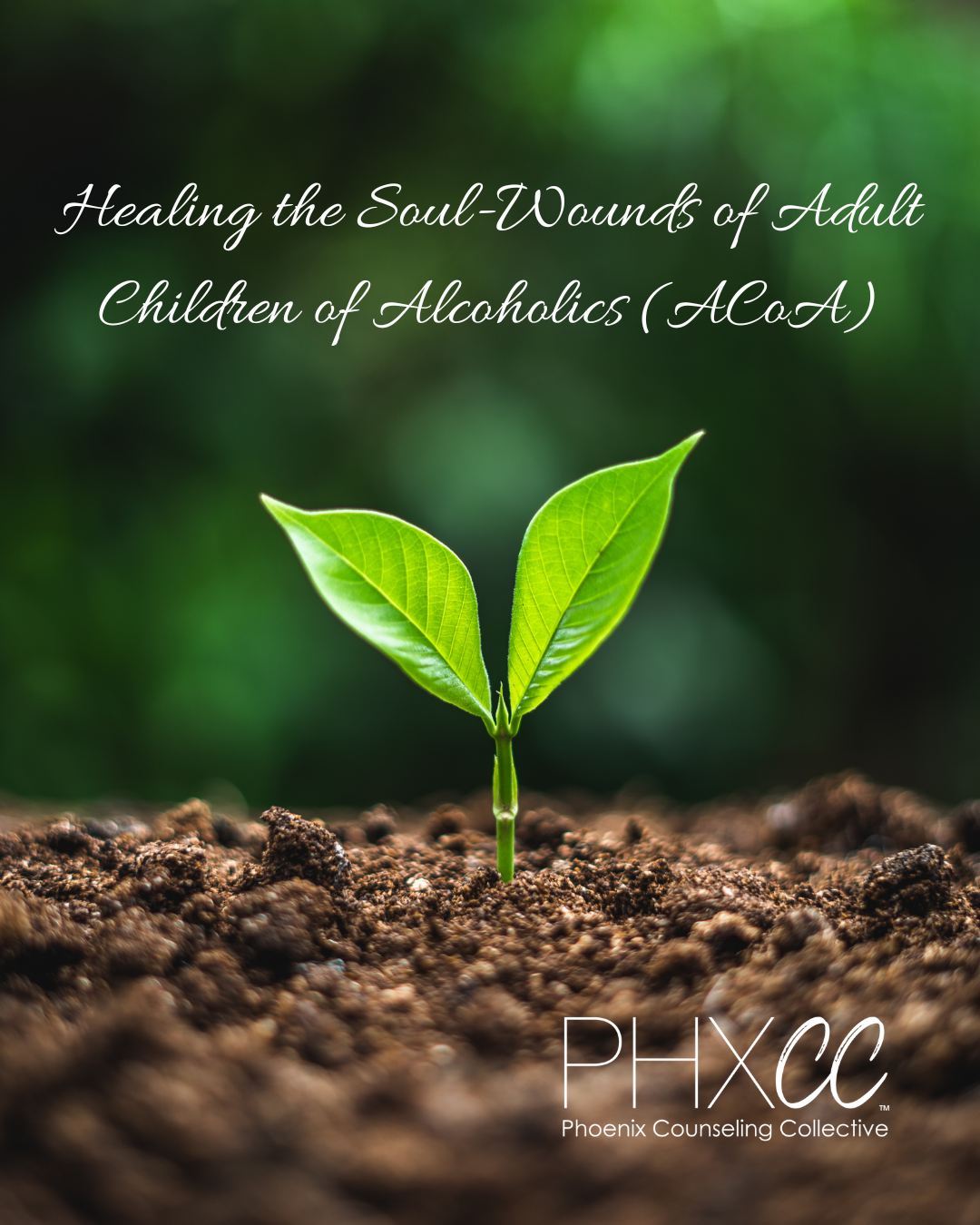 Healing ACoA soul-wounds at our counseling office serving Downtown, Central Phoenix, and the Biltmore area